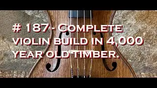 # 187 - Complete violin build in 4,000 year old timber.