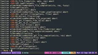 Vimscript Tutorial: Function ( function lookup in the command prompt )