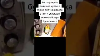 когда ссышь во сне