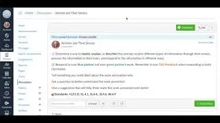 Canvas Graded Discussions