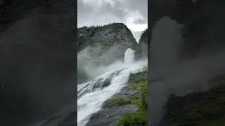 Fjord Safari 10/12