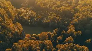 лечение удовольствием , одна из методик  лечения силой подсознания :)