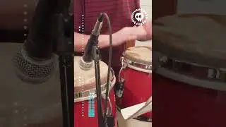 Светка (фрагмент). У меня огромный хундай, не прогадай, ты только дай, дай, дай, дай ))