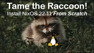 Tame the Raccoon: Install NixOS 22.11 From Scratch