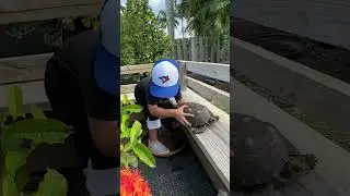 When Subscribers Feed Your Pets