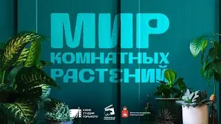 Научно-популярный сериал 