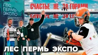 ЛЕС ПЕРМЬ ЭКСПО