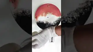 How to make Resin Clock |MDF resin clock| Resin Clock Complete Tutorial [Hindi]