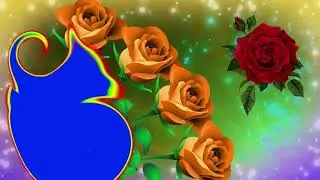 wedding photo frame green screen || Wedding Frame Green Screen Background vfx Effect