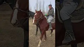 MANA OTGA MINISH QANDEY BO'LADI. FAXRIDIN POLVON. SAYXUNOBOD 11.01.2022