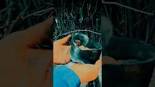 🔨⛏️С ГЛУБИНОЙ НАЕДИНЕ..//IN THE HEAVENLY DEPTHS..