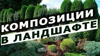 Compositions in landscape design. Formation rules and types of compositions
