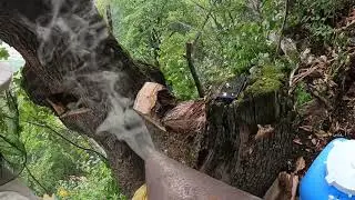 Настоящий мёд, вот какой он должен быть.