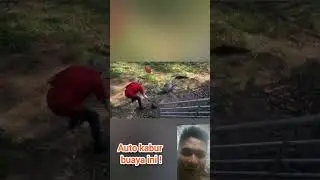 Buaya Kabur Lawan Kakek Panci #crocodile #buaya #unik #shorts #viral