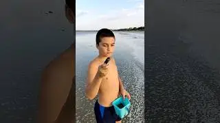 Ейск 2024. Ловим рыбу руками и креветок в Ейске! Отдых в Ейске отзывы. Тутси - диеты@tutsi-dieti