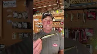 Jerkbait Tip perfect for Spring Fishing #fishingtipsandtechniques #short