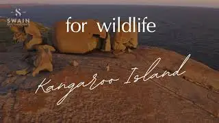 The Best of South Australia with Swain Destinations