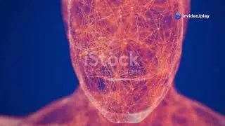 How Convolutional Neural Networks Classify Images? II #CNN