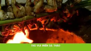 THÚ VUI MIỀN DÃ THẢO | Nhà Hai Lúa