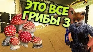 Контра Сити ЭТО ВСЁ ГРИБЫ №3