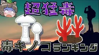 【ゆっくり解説】危険な毒キノコランキング10選