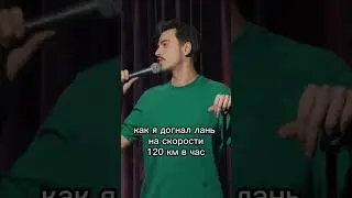 Ходячие консервы 