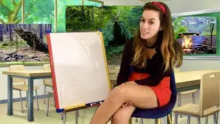 [ASMR] How To Survive In The Wilderness