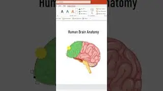 🚀 Master Dynamic PPT Design Techniques! 