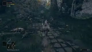 Final Elden ring playthrough