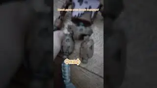 фнаф4 эе