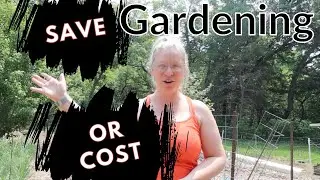 How to SAVE Money Gardening