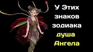 Which zodiac signs have the soul of an angel?