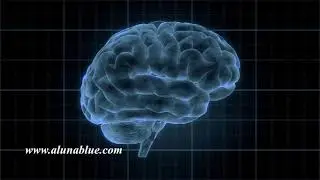 HUD Brain 1009 HD, 4K Stock Video