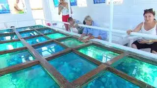 БУХТА НААМА БЕЙ УВЛЕКАТЕЛЬНАЯ ПРОГУЛКА НА СТЕКЛЯННОЙ ЛОДКЕ ШАРМ ЭЛЬ ШЭЙХ