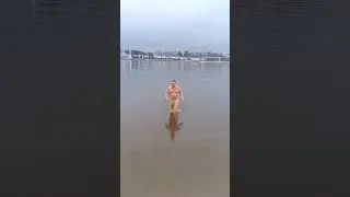 Бегемоты в Волге в ноябре. 