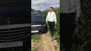 1 сентября 2024 г.