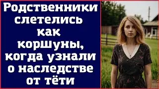 Родственники слетелись как коршуны, когда узнали о наследстве от тёти