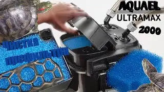 Чистка префильтра AQUAEL ULTRAMAX 2000 красноухие черепахи