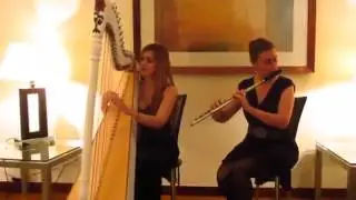 Skyfall on Harp and Flute