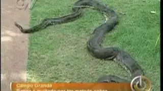 Sucuri ataca....