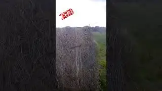 погрузка сена #music #сектор_газа