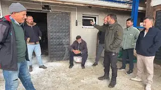 I TOOK THE VISITORS TO BUY LIVESTOCK