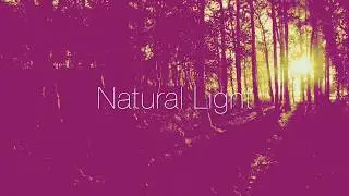 Pilgrims of the Mind - Natural Light