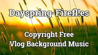 Firefl!es - Dayspring /No Copyright Vlog Background Music