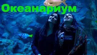 Куда пойти в выходные в Москве. Океанариум. Музей Оптических  Иллюзий.
