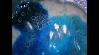 Bubbles