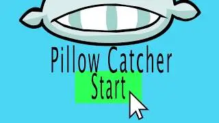 Pillow Catcher