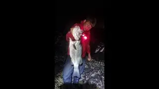 Fishing in Korea (Jeju Island)