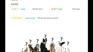 Asking Questions in Mandarin