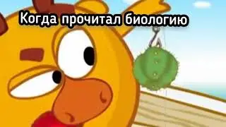 МУД СМЕШАРИКИ #17 | КРОШБАРАШИДЗЕ